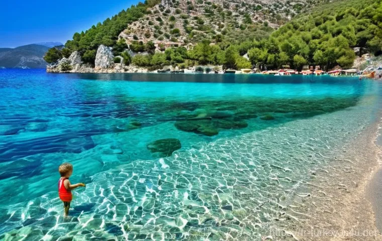 튀르키예에서의 가족을 위한 활동 - **Cappadocia Sunrise Balloon Spectacle with Family:**
    "A breathtaking panoramic view of Cappadoc...