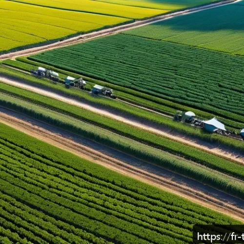 튀르키예 농업 기술의 혁신 - A modern Turkish farm in Anatolia during a sunny day, showcasing a fleet of drones equipped with mul...